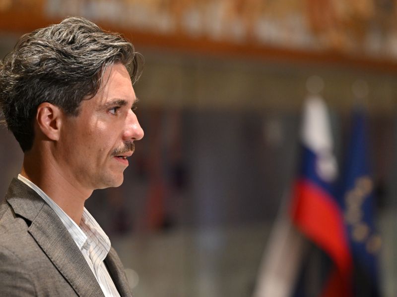 Slika članka