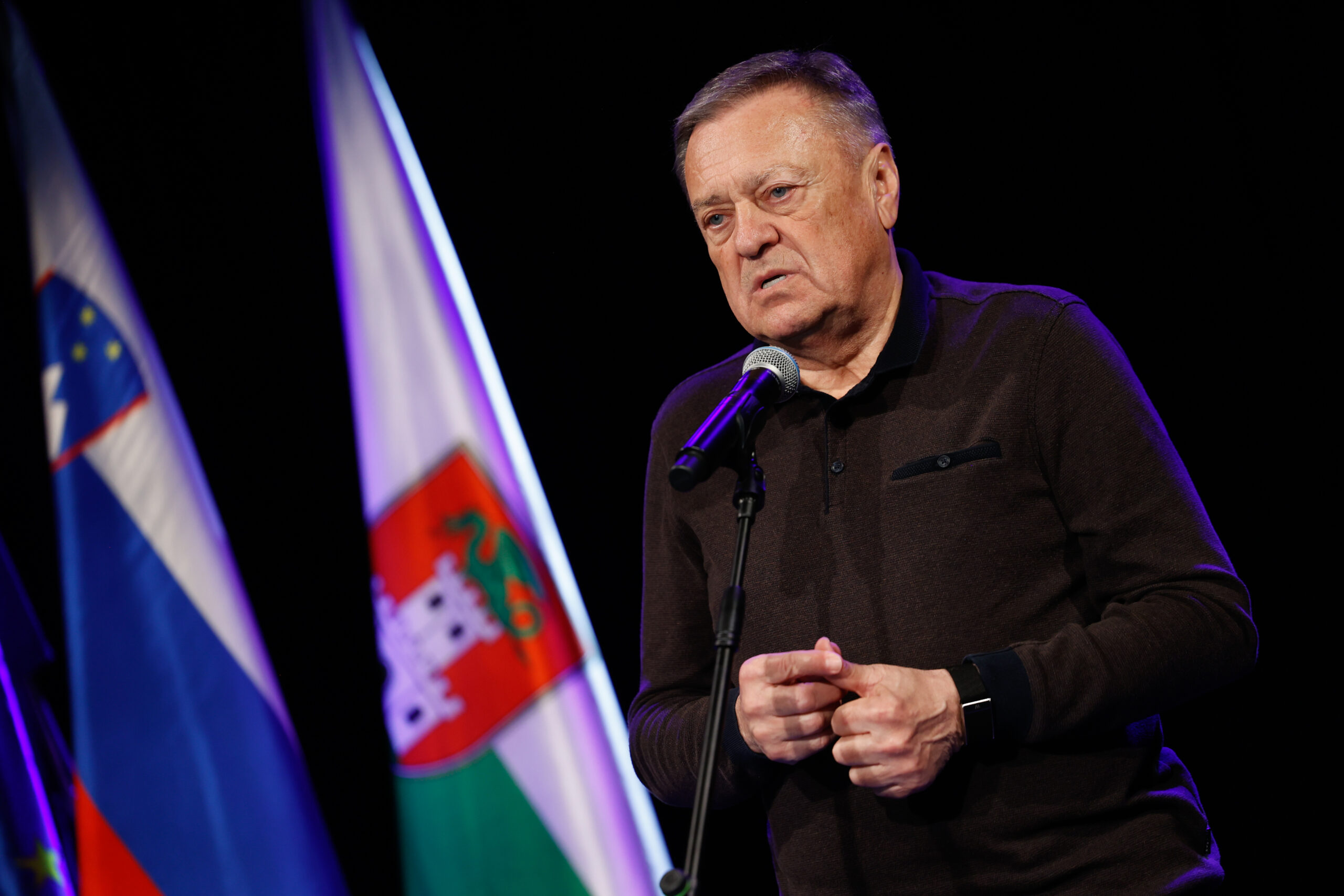 Slika članka