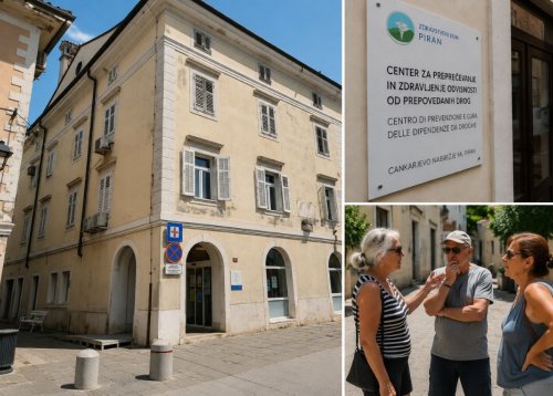 Slika članka