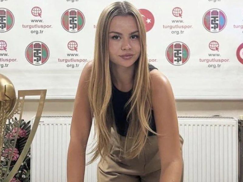 Slika članka