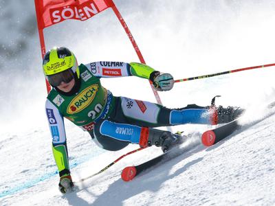 Slika članka