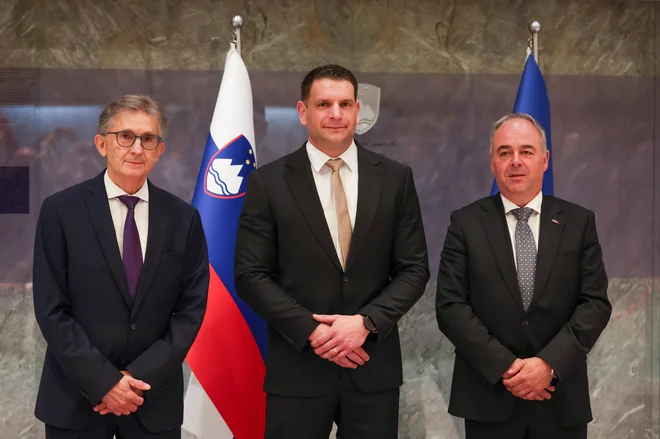 Slika članka