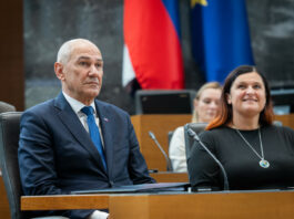 Slika članka