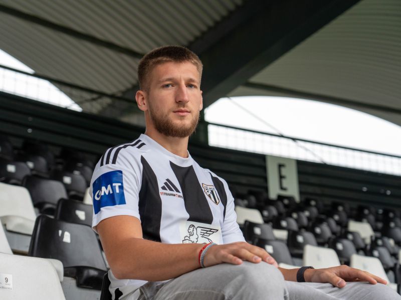 Slika članka