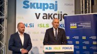 Slika članka