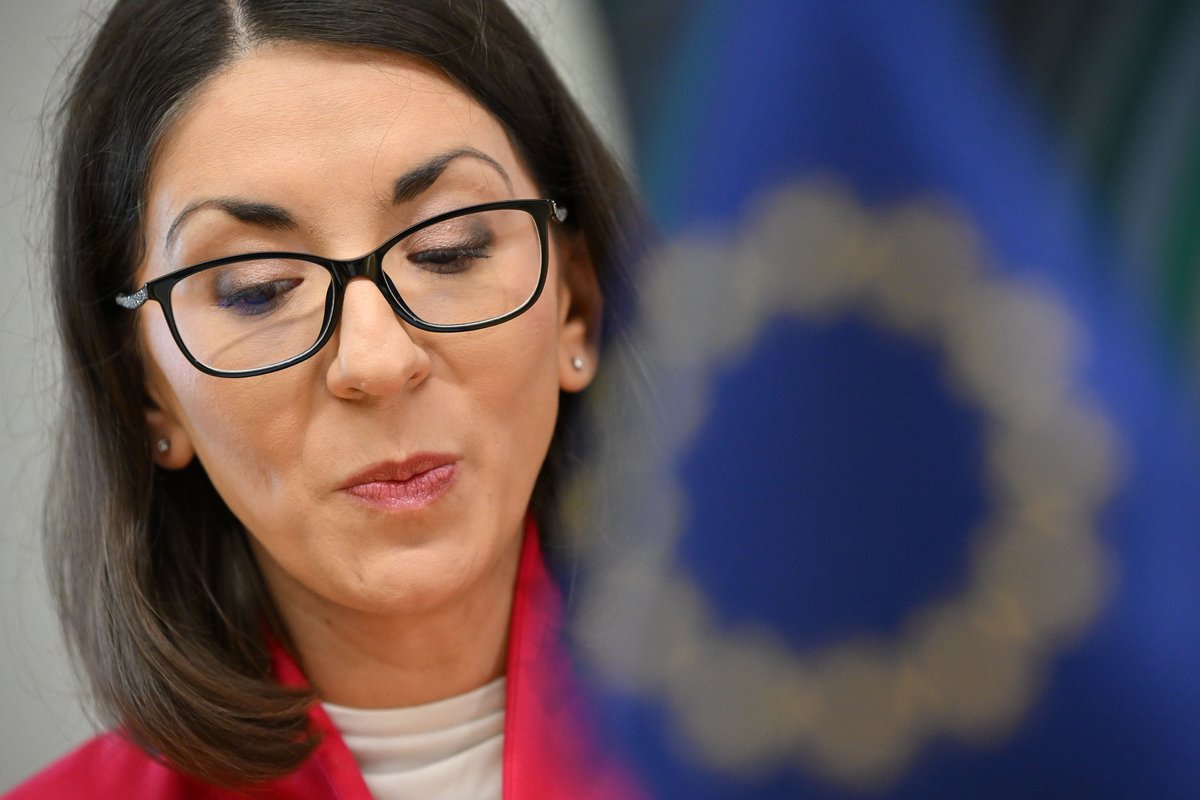 Slika članka