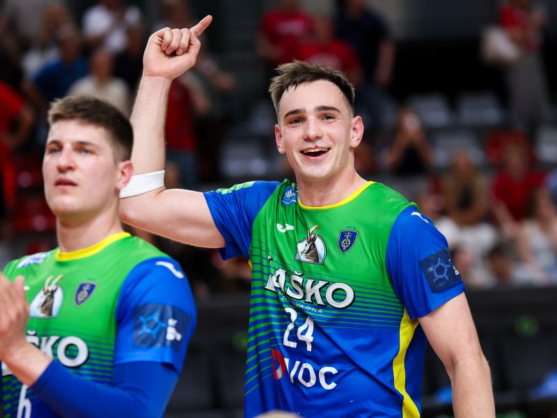 Slika članka