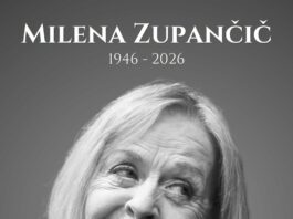 Slika članka