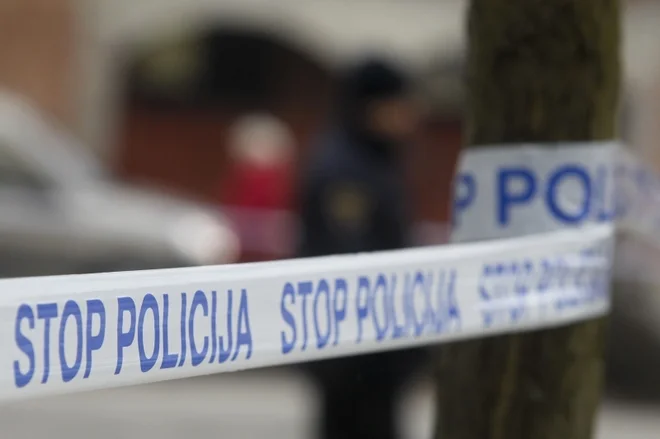 Slika članka
