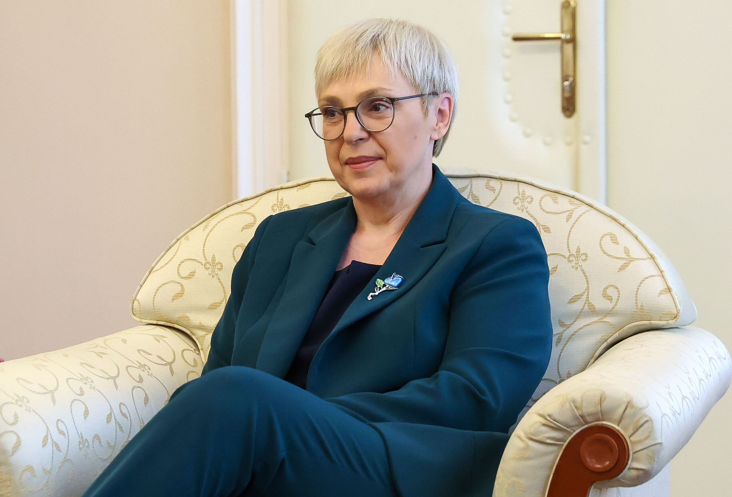 Slika članka