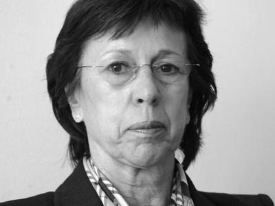 Slika članka