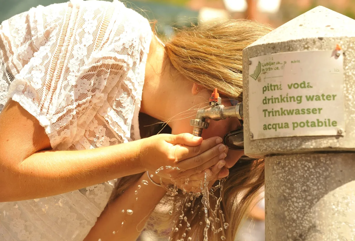 Slika članka