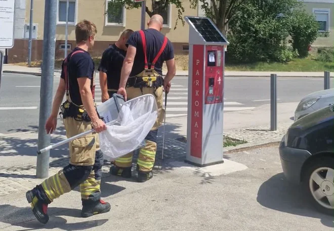 Slika članka