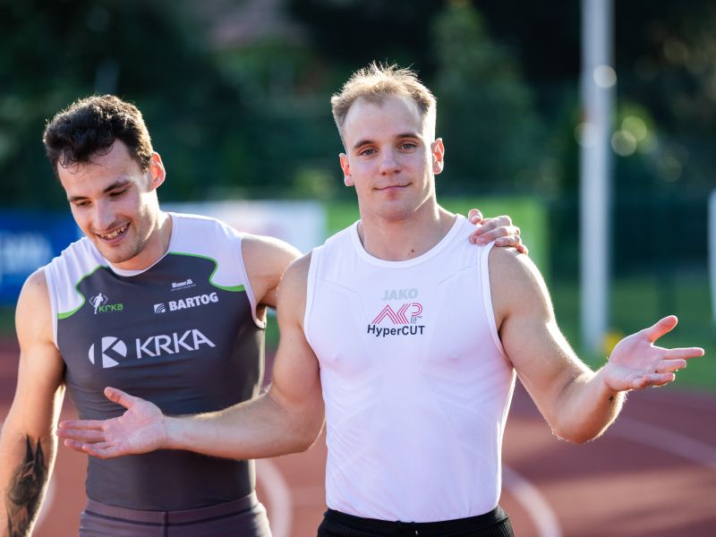Slika članka