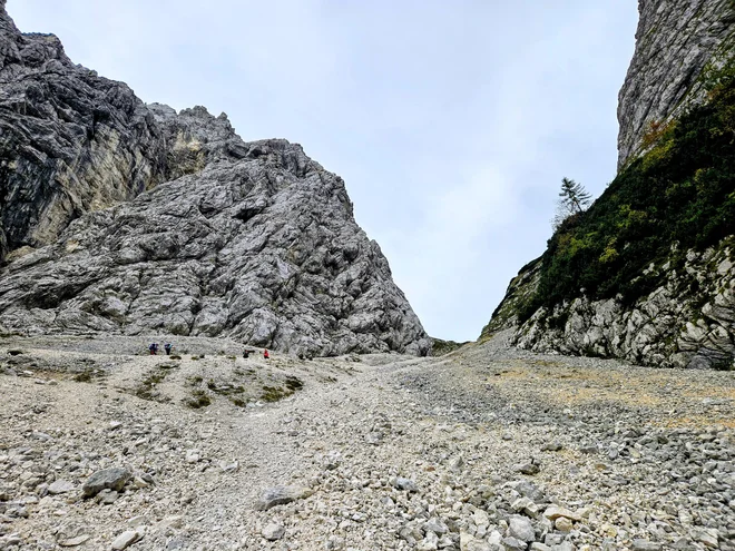 Slika članka