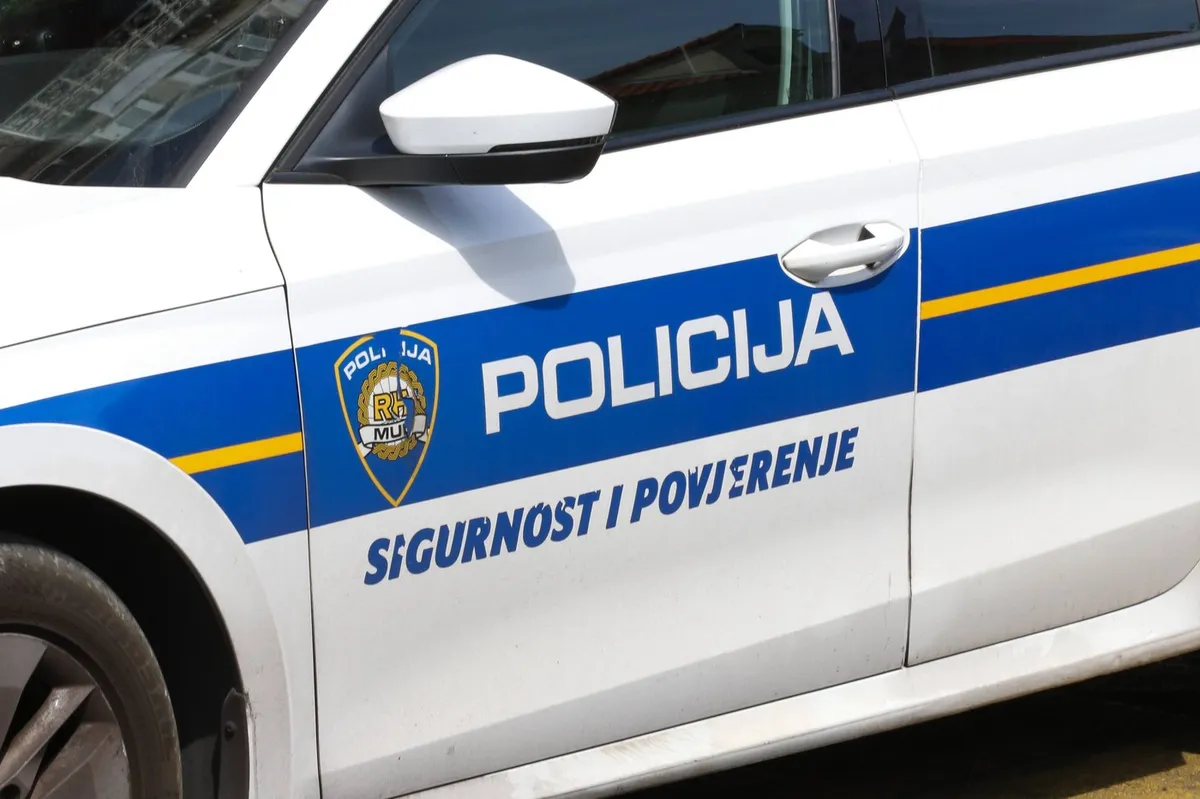 Slika članka