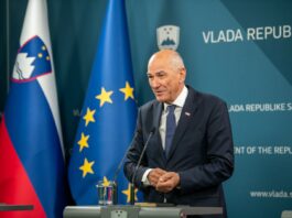 Slika članka