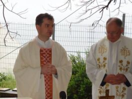 Slika članka