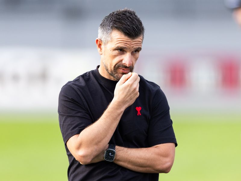 Slika članka
