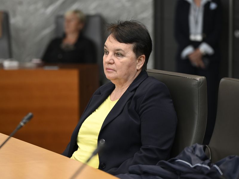 Slika članka