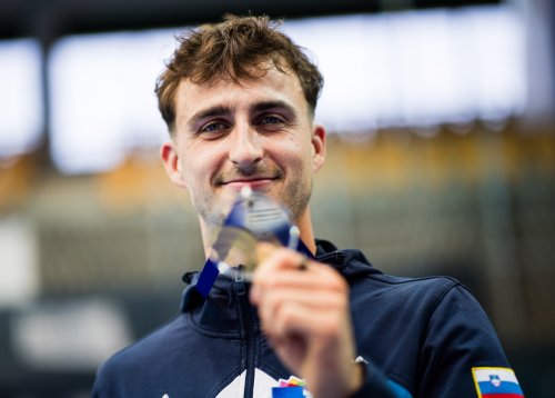 Slika članka