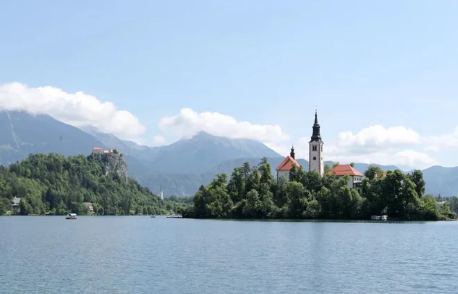 Slika članka
