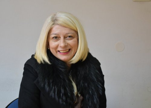Slika članka
