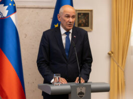 Slika članka