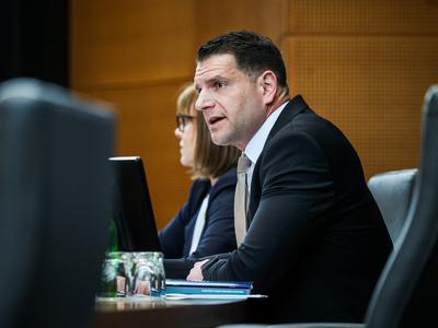 Slika članka