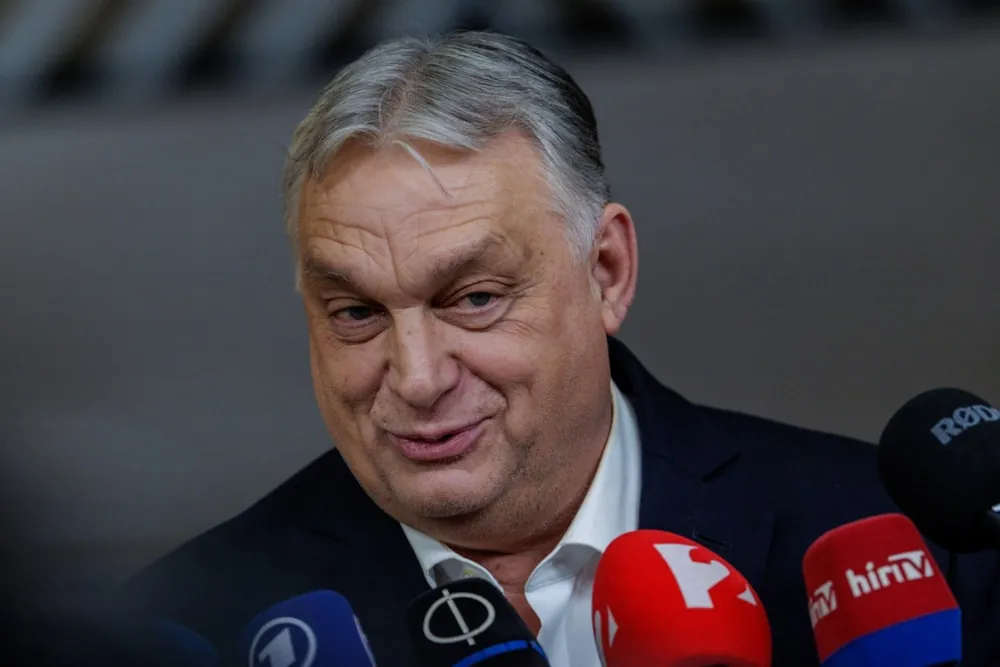 Slika članka