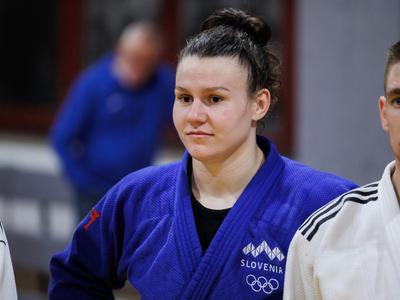 Slika članka