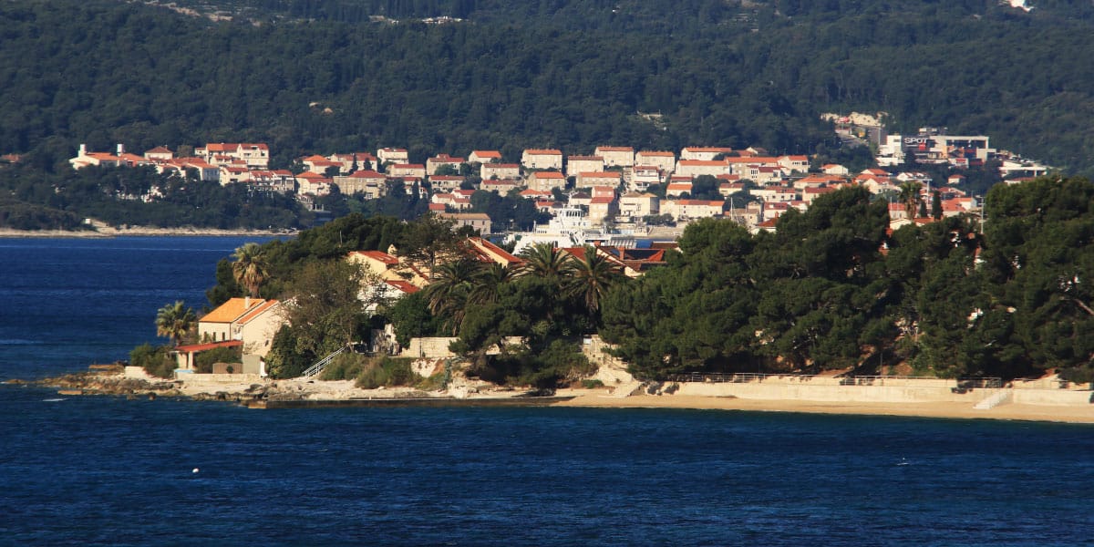 Slika članka