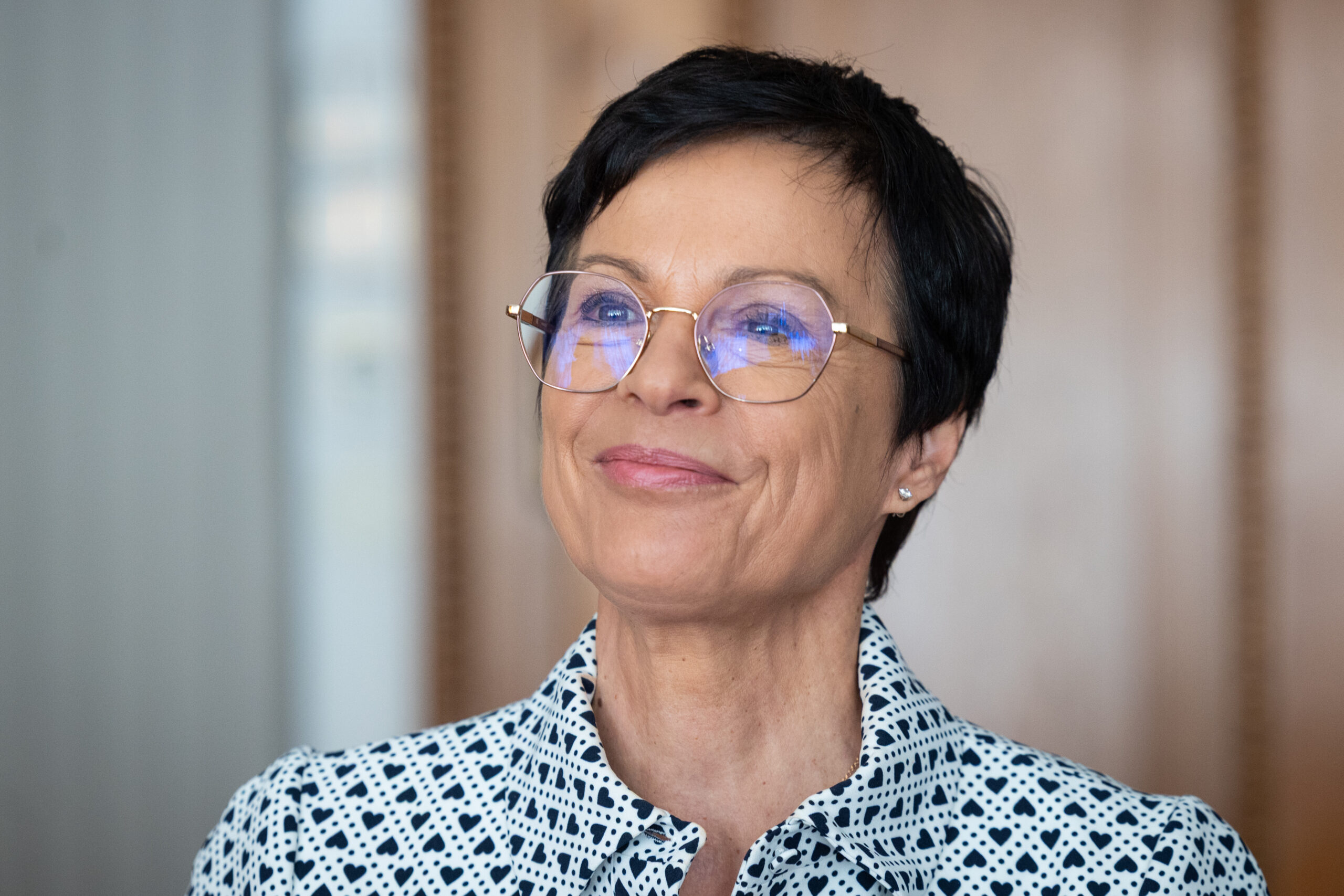Slika članka