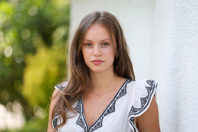 Slika članka