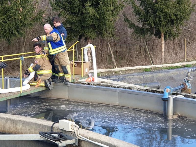 Slika članka