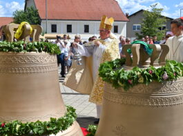 Slika članka