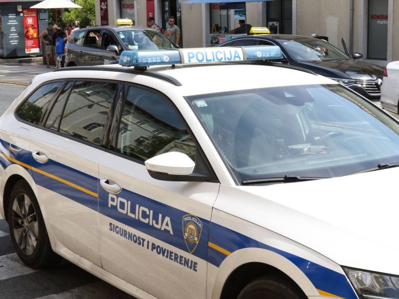Slika članka