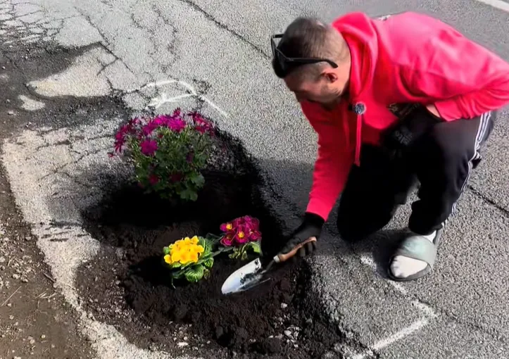 Slika članka