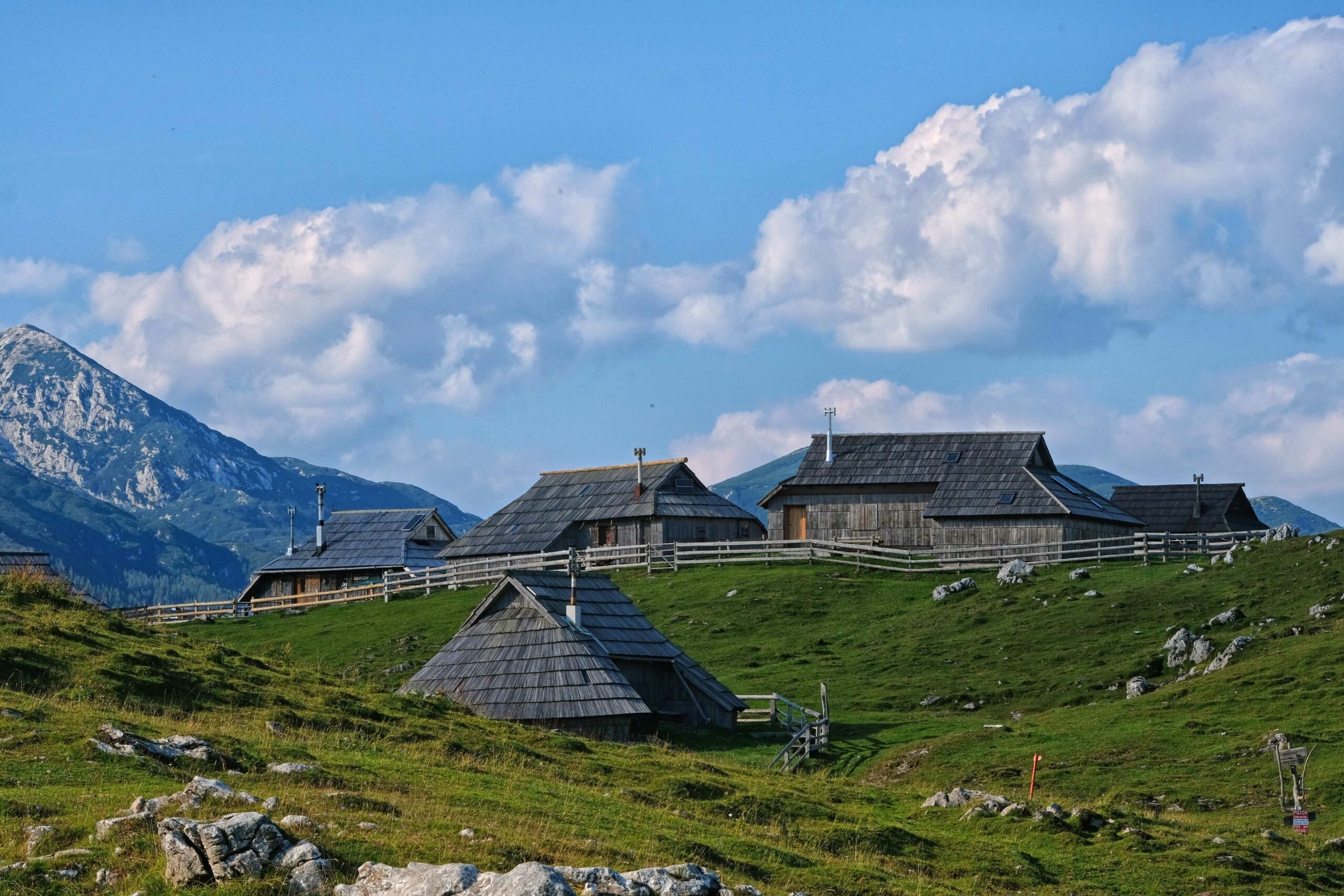 Slika članka
