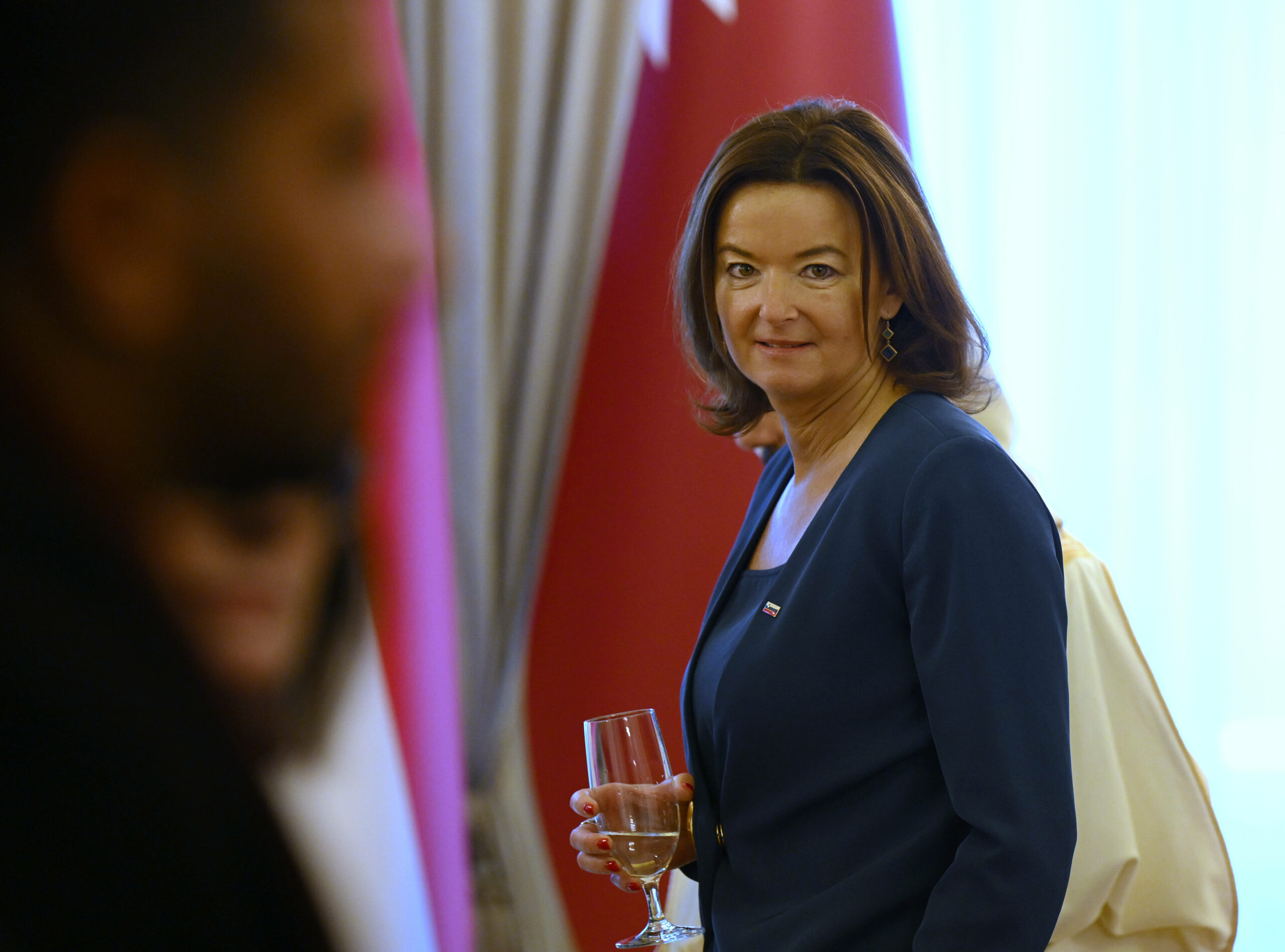 Slika članka