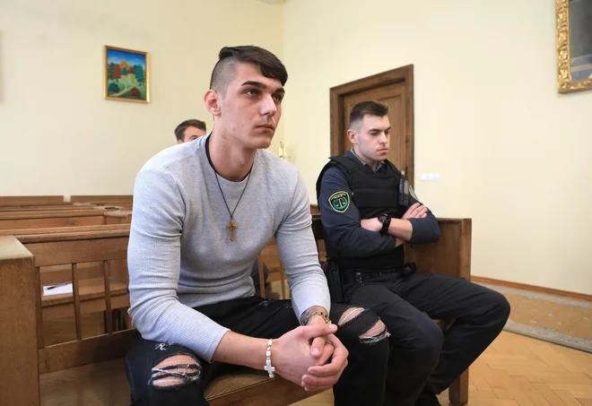 Slika članka