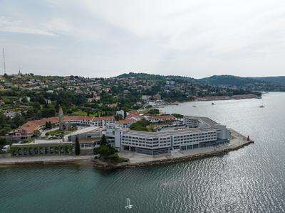 Slika članka