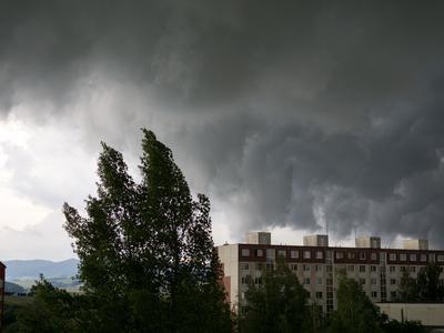 Slika članka