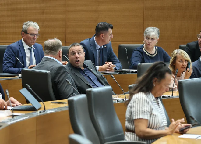 Slika članka