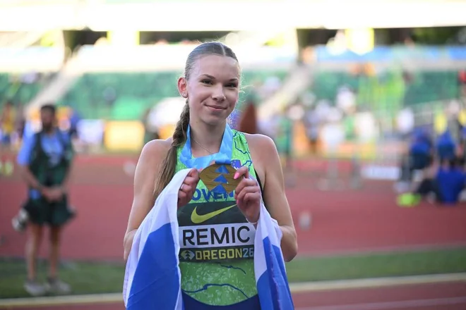 Slika članka