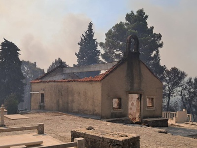 Slika članka