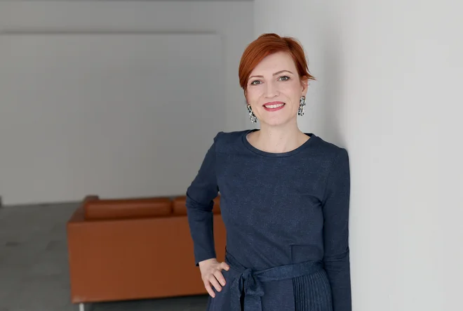Slika članka