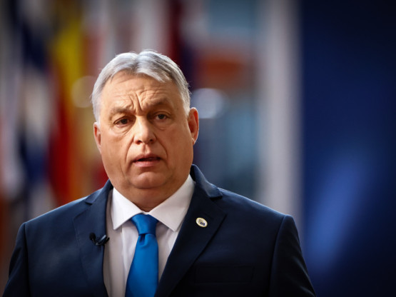 Slika članka