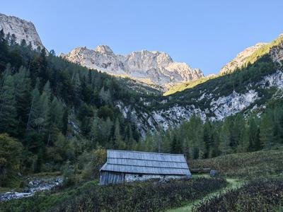 Slika članka