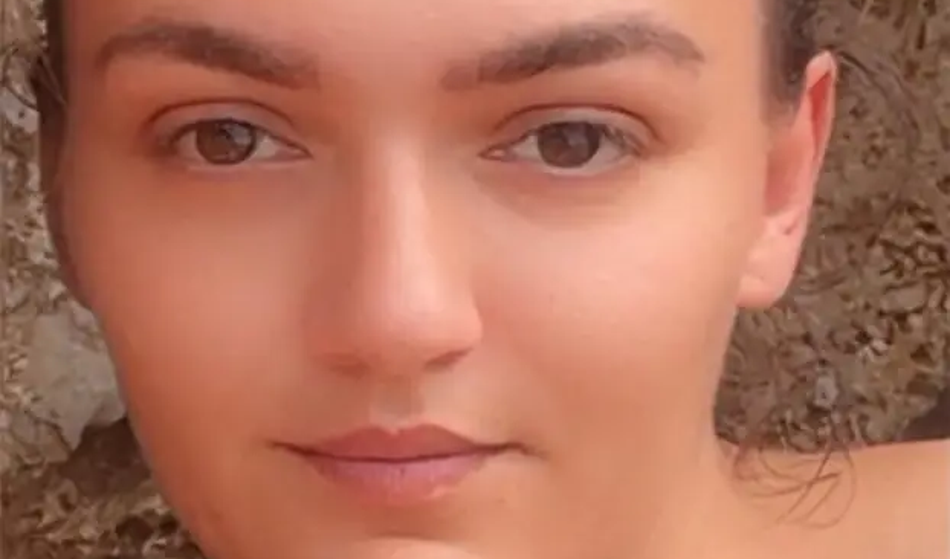 Slika članka